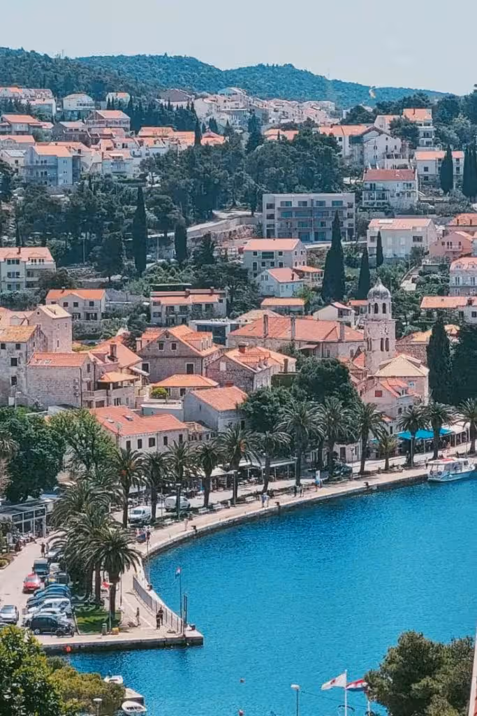 Cavtat's picturesque promenade lined with palm trees and small boats, reflecting the town's tranquil seaside atmosphere.