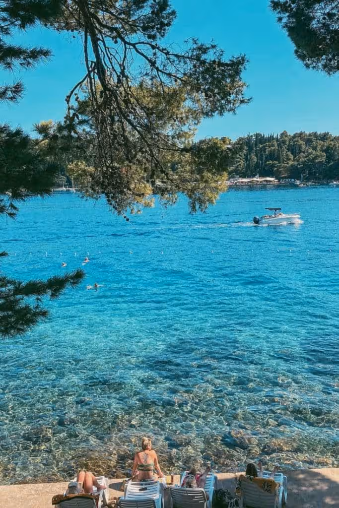 Ispod Gospe beach Cavtat shaded by pine trees