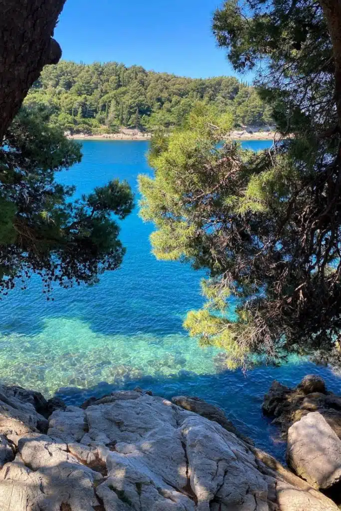 Rat peninsula is overgrown with evergreen pine trees. Rocky and pebbly beaches at every step. Paradise for travelers who seek peace and quiet.