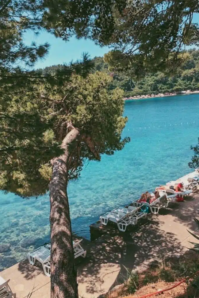 ispod gospe beach has tall pines providing great shade from summer sun